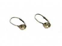 9ct Gold Four Leaf Earrings