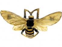 Carved Horn Art Nouveau Bug