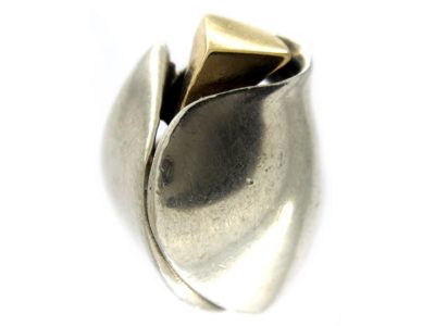Silver & Gold Ring