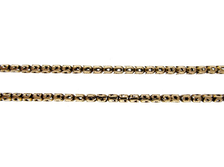 Georgian Snake Clasp Gold Chain