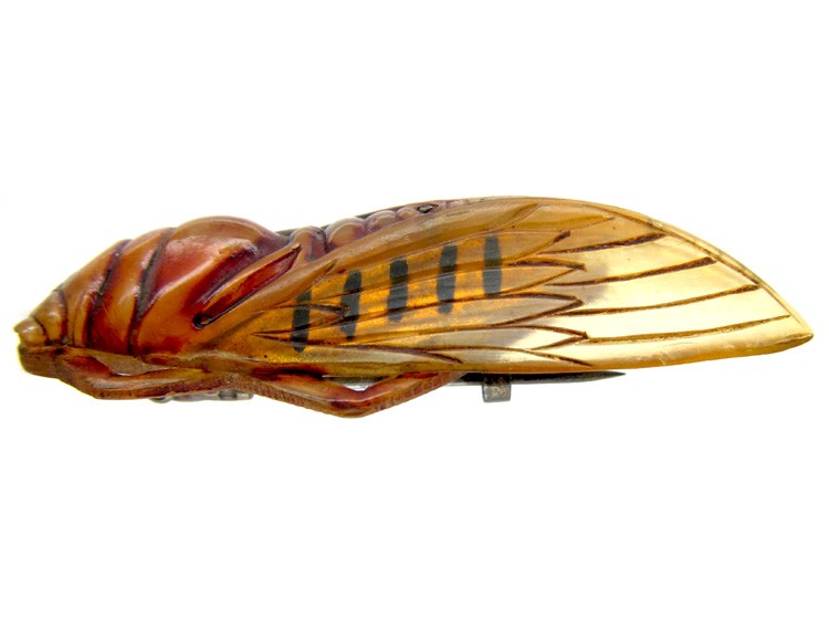 Art Nouveau Carved Horn Cicada Insect Brooch