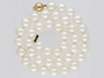 Single Row Pearl Necklace