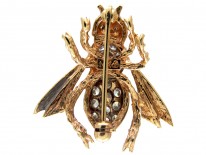 Diamond & 18ct Gold Bug Brooch