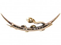Victorian Enamel Snake & Diamond Crescent Brooch