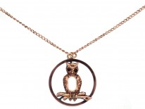 Edwardian 9ct Gold Owl Pendant on 9ct Gold Chain