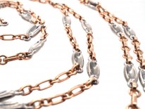 Edwardian 18ct Gold & Platinum Long Guard Chain