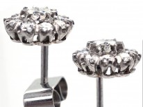 18ct White Gold Diamond Cluster Earrings