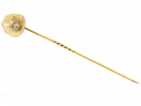 Edwardian Pearl Shell With Two Natural Pearls Tie Pin