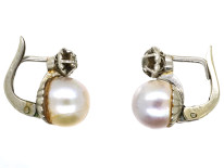 18ct White Gold, Pearl & Diamond Earrings