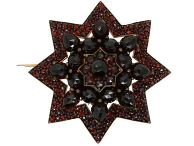 Bohemian Garnet Star Brooch