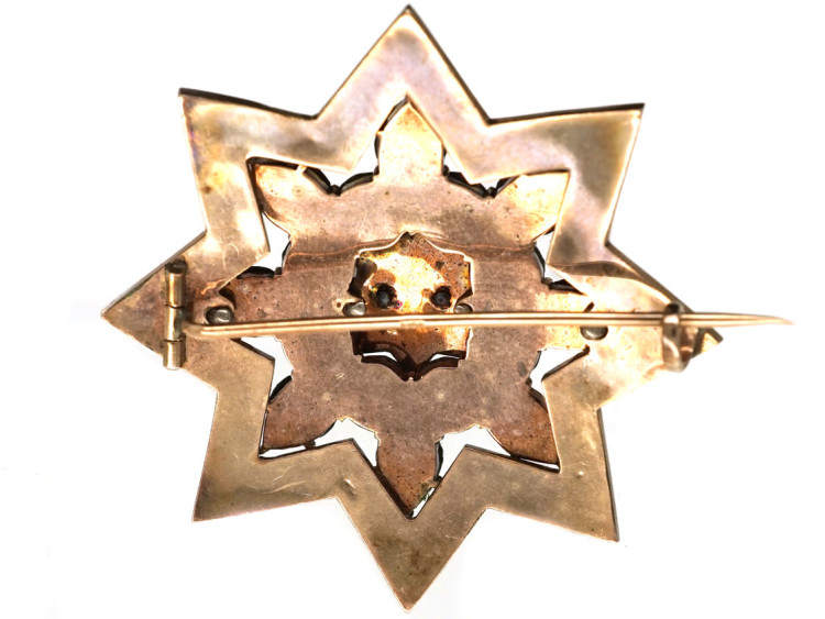 Bohemian Garnet Star Brooch