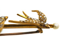 Edwardian 15ct Gold Brooch of Two Swallows set with Natural Split Pearls