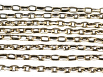Victorian Long Silver Guard Chain