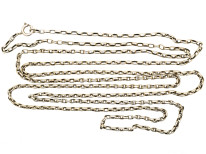 Victorian Long Silver Guard Chain