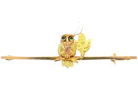 Edwardian 9ct Two Colour Gold Night Owl Brooch