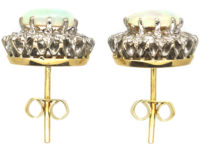 18ct White & Yellow Gold, Opal & Diamond Oval Cluster Earrings