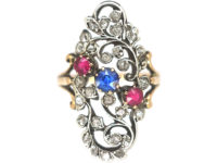 Art Nouveau Austrian 14ct Gold, Ruby Sapphire & Rose Diamond Floral Ring