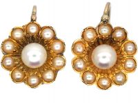 Victorian 15ct Gold Daisy Earrings set with Natural Split Pearls