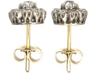 Edwardian 18ct Gold & Platinum, Diamond Daisy Cluster Earrings
