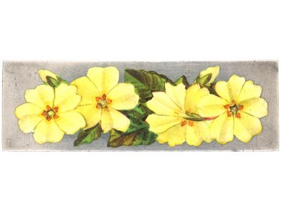 Victorian Silver & Enamel Primrose Brooch