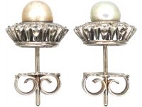 Large 18ct White Gold, Diamond & Pearl Cluster Earrings