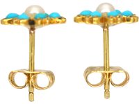 Edwardian 15ct Gold, Turquoise & Natural Split Pearl Forget me Not Earrings