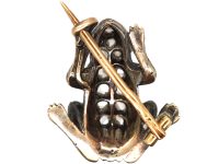 French Silver & Gold Belle Epoque Frog Brooch set with Rose Diamonds & Cabochon Ruby Eyes