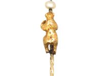 Edwardian 15ct Gold Bear Tie Pin with Natural Pearl