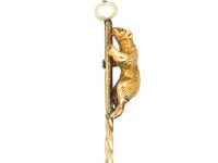 Edwardian 15ct Gold Bear Tie Pin with Natural Pearl