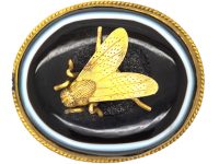 Victorian Banded Onyx Brooch with Fly on Top