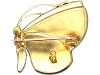 Edwardian Silver Gilt Butterfly Brooch by Child & Child in Original Case