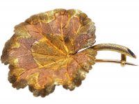 Victorian 15ct Three Colour Gold Nasturtium Leaf Brooch in Original Case