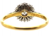 Early 20th Century 18ct Gold & Platinum, Diamond Daisy Cluster Ring