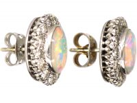 Early 20th Century 18ct White Gold, Opal & Diamond Oval Cluster Earrings