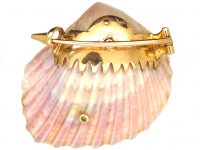 Victorian 18ct Gold & Shell Brooch with a Rose Diamond Set Snake & Natural Pearl Within