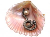 Victorian 18ct Gold & Shell Brooch with a Rose Diamond Set Snake & Natural Pearl Within