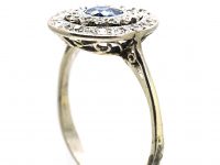 Edwardian Platinum, Sapphire & Diamond Daisy Cluster Ring within a Circle of Diamonds