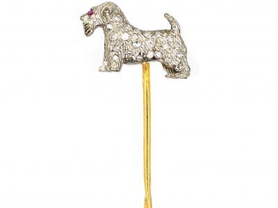 Edwardian 18ct White Gold & Diamond set Terrier Tie Pin with a Ruby Eye