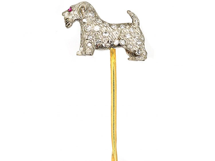 Edwardian 18ct White Gold & Diamond set Terrier Tie Pin with a Ruby Eye