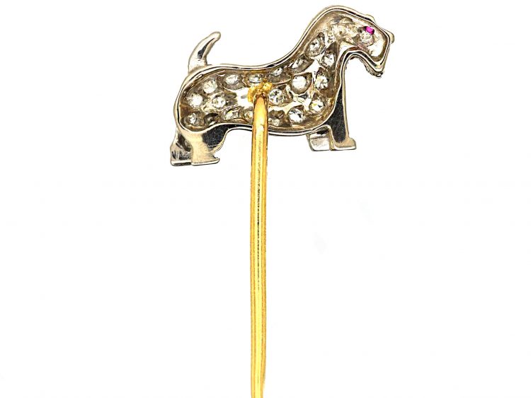 Edwardian 18ct White Gold & Diamond set Terrier Tie Pin with a Ruby Eye