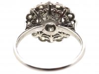 Early 20th Century Platinum, Diamond Daisy Cluster Ring with Outer Ring of Diamonds