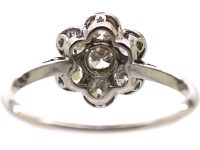 Edwardian 18ct White Gold, Diamond Daisy Cluster Ring