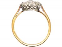 Early 20th Century 18ct White & Yellow Gold Diamond Cluster Ring