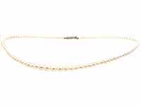 Early 20th Century String of Pearls with 18ct White Gold & Diamond Clasp