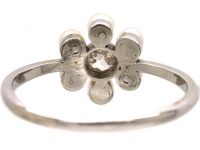 Edwardian 18ct White Gold, Diamond & Natural Pearl Daisy Cluster Ring
