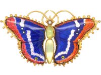 Regency 15ct Gold & Enamel Butterfly set with Chrysoprase & a Natural Split Pearl